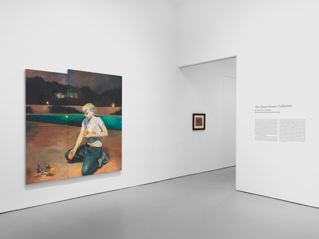 The Great Unseen Collection: A Selection of Works from Joel and Carole Bernstein