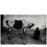 Man with Horse, Romania