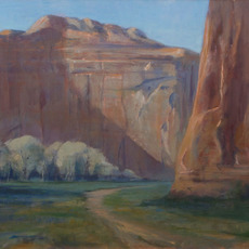 Cynthia Eckhardt