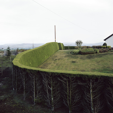 Felix Davey