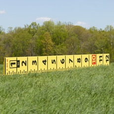 Josephine Halvorson, Measure (2016)