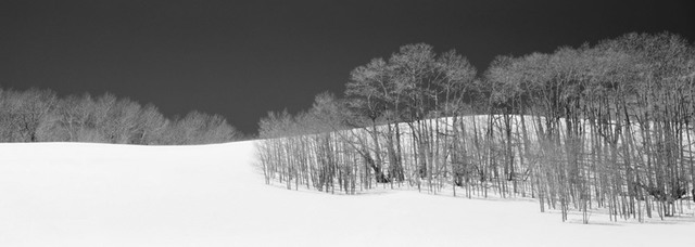 Brian Kosoff, ‘Snowy Ridge’, 2012, Gallery 270