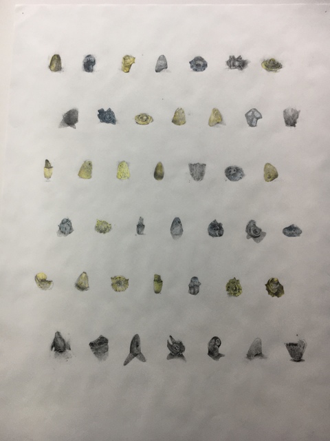 Terri Thornton, ‘Language’, 2019, Drawing, Collage or other Work on Paper, Pencil and eraser on vellum, Barry Whistler Gallery