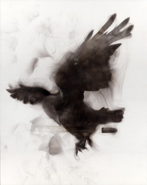 Steven Spazuk, ‘Dodging the Bullet’, 2018, Adelson Galleries