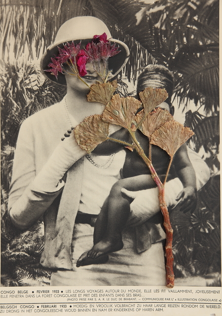 Lien Botha, ‘Plant Press Pelargonium’, 2009, Photography, Archival pigment print, Barnard
