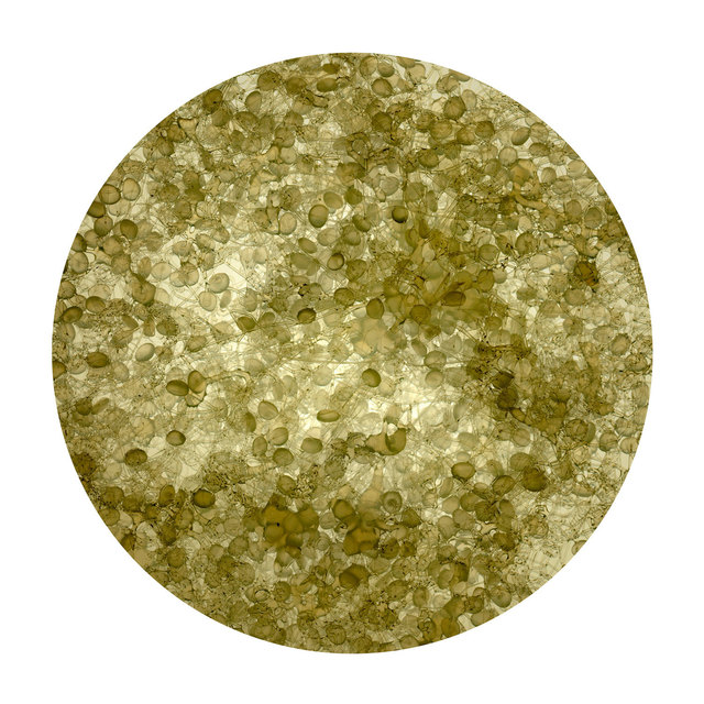 Laurent Lamarche, ‘C3H6- B1’, 2011, Art Mûr
