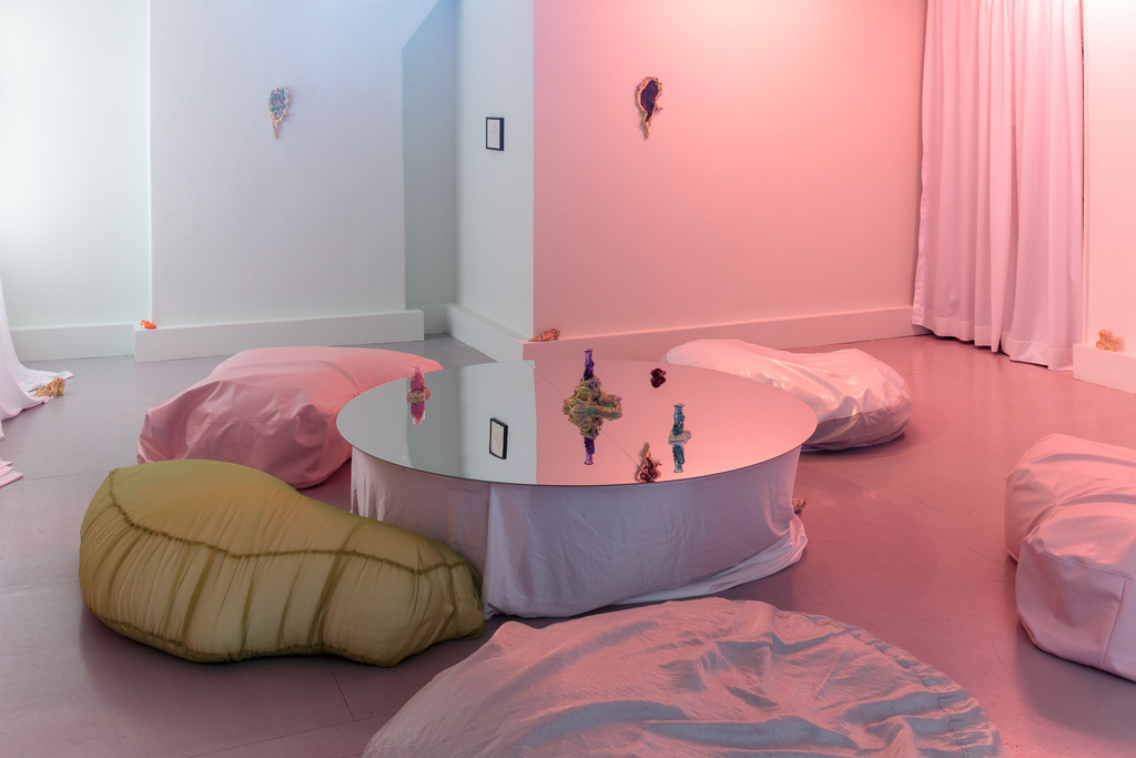 Zoe Williams, Sunday Fantasy, 2019, installation view. Photo: Tim Bowditch Zoe Williams, Sunday Fantasy, 2019, installation view. Photo: Tim Bowditch