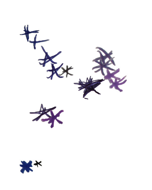 Significances II, (2013 Meetings) — Zeyno Pekünlü (2024)