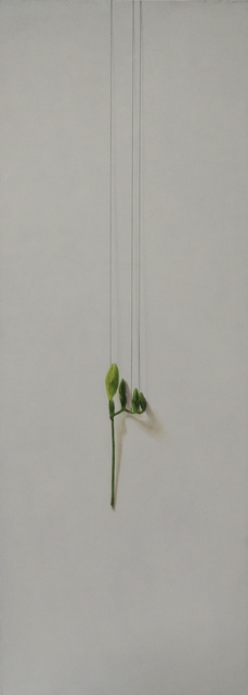 Daiya Yamamoto, ‘Flowering’, 2019, Mottas