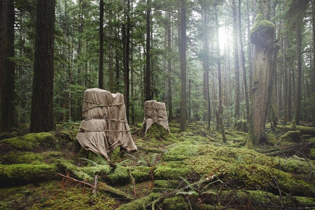 David Ellingsen, ‘Installation 6: Untitled (2 Stumps) ’, 2014, Photography, Archival Pigment Ink on cotton rag paper, Winchester Galleries