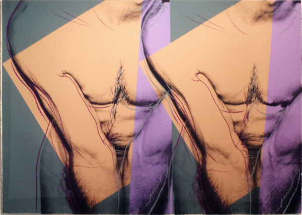 Andy Warhol, ‘Torso (Double)’, ca. 1982, Print, Unique Screenprint, Hamilton-Selway Fine Art