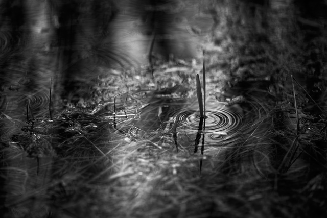 Stephan Anderson-Story, ‘Door County Rain’, 2018, Photography, Archival Inkjet Print, James May Gallery