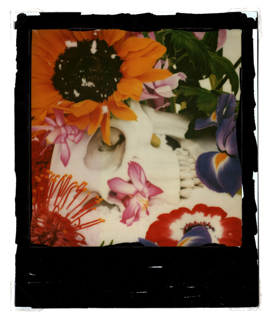 Marc Quinn, ‘untitled ’, 2009, Photography, Polaroid and oil paint, Grob Gallery