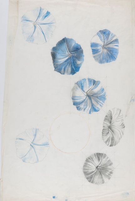 Marion Elizabeth Adnams, ‘Study of nasturtium’, 1930, Liss Llewellyn