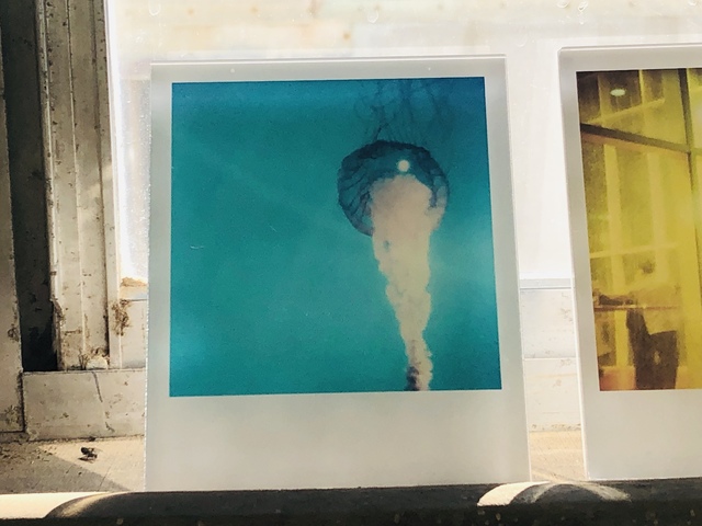 Stefanie Schneider, ‘Jelly Fish’, 2005, Photography, Lambda digital Color Photographs based on a Polaroid, Instantdreams