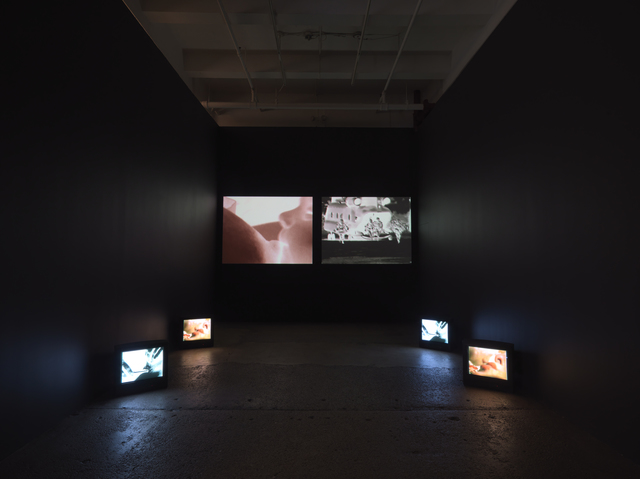 Carolee Schneemann, ‘Devour’, Installation, Multichannel video installation, Galerie Lelong & Co.