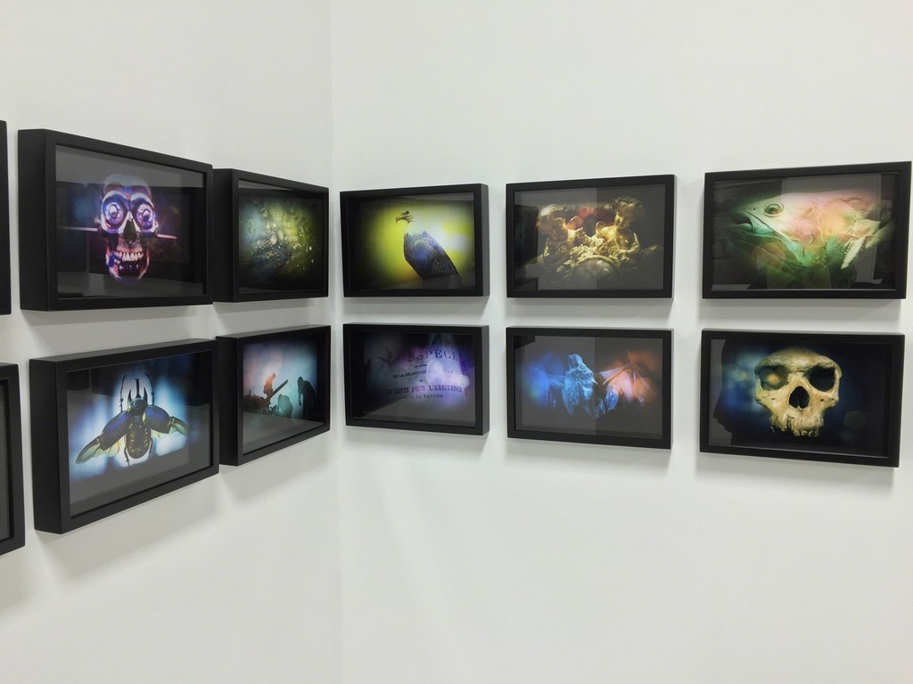ADOLFO DORING
The Nature of man
Crate with 20 color photographs ADOLFO DORING
The Nature of man
Crate with 20 color photographs