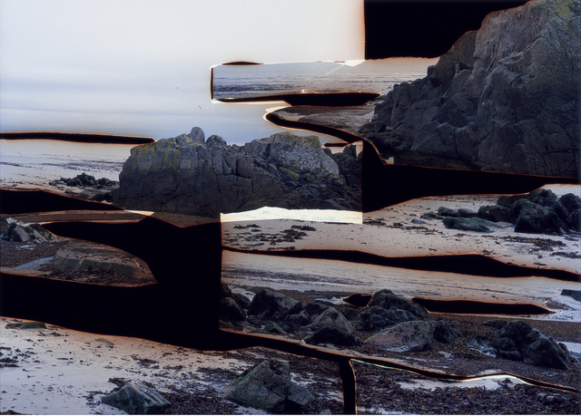 Dafna Talmor, ‘Untitled (JE-12121212-2)’, 2015, Flowers