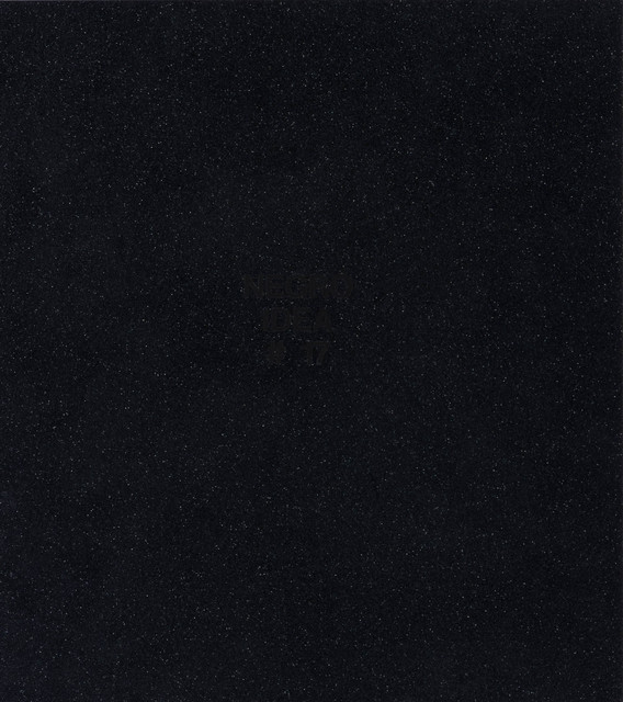 Pope.L, ‘Negro Idea #17’, Mixed Media, Vinyl on PVC, Doyle
