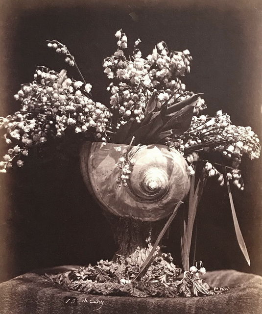 Charles Aubry Lilies Of The Valley In A Nautilus Shell Muguet Dans Une Conque Ca 1864 Available For Sale Artsy