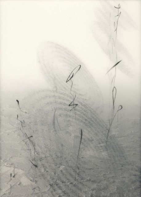 Chaco Terada, ‘Calligraphy of the Soul II’, 2010, Mixed Media, Archival pigment print on layers of silk organza with sumi ink and mineral pigments, Valley House Gallery & Sculpture Garden
