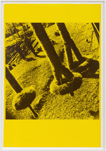 Ana Lupas, ‘The Solemn Process’, 1964, Photography, Offset, P420