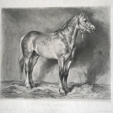 Achille-Isidore Gilbert after Rosa Bonheur (French, Bordeaux 1822–1899 Thomery)