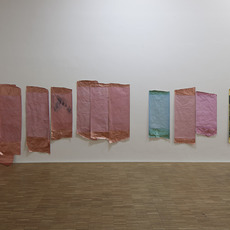 Anne Schneider