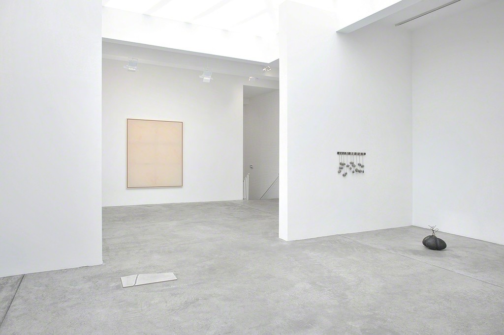 Presque rien
Installation View
Galerie Marian Goodman, Paris
June 5 – July 31, 2015 Presque rien
Installation View
Galerie Marian Goodman, Paris
June 5 – July 31, 2015