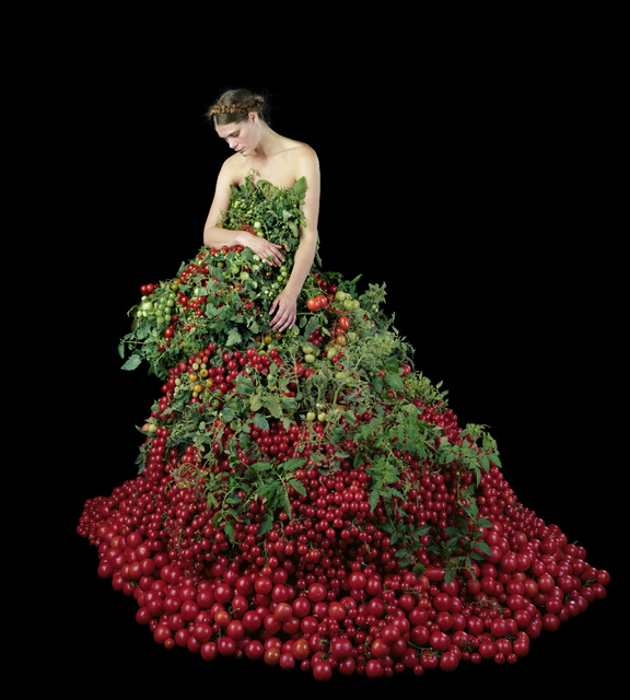 Nathalia Edenmont, ‘Down to Earth’, 2015, Nancy Hoffman Gallery