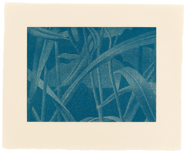 Franz Gertsch, ‘»Gräser I, Detail 6, Mittelblau«’, 2002, Ludorff