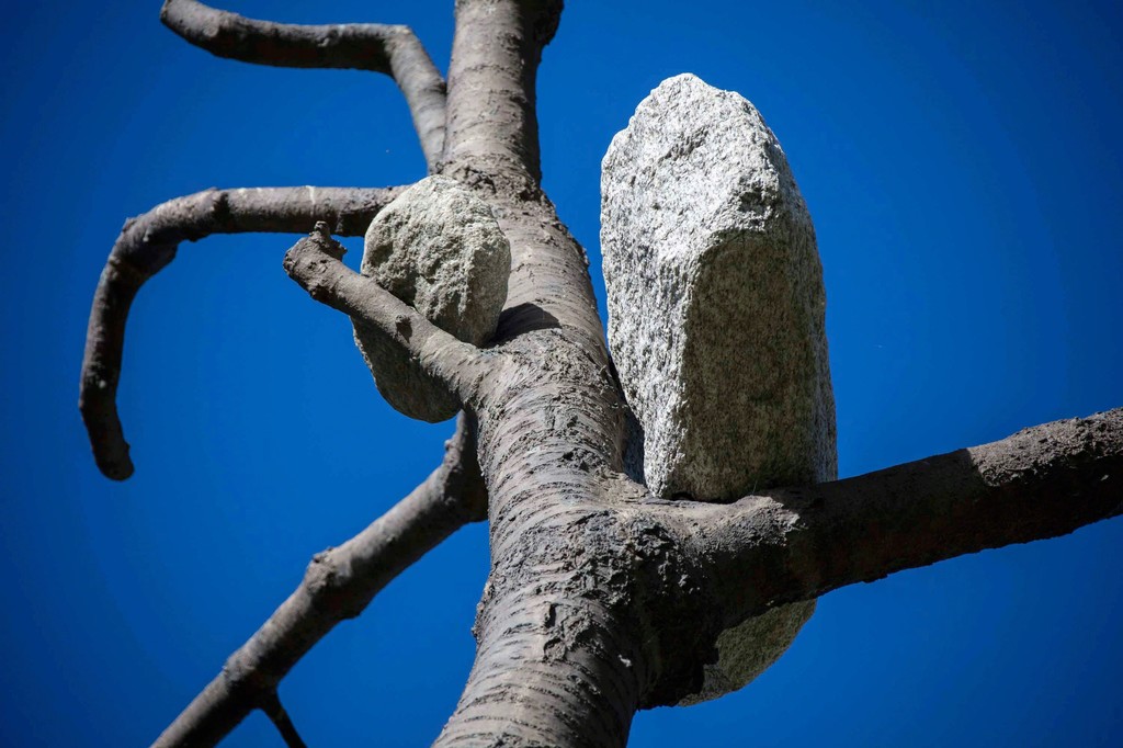 Giuseppe Penone
Idee di pietra – Ciliegio, 2008
Bronze and stone
551 3/16 × 157 1/2 × 157 1/2 inches (14 × 4 × 4 m)
Artwork © Giuseppe Penone. Photo by Marcus Veith. Giuseppe Penone
Idee di pietra – Ciliegio, 2008
Bronze and stone
551 3/16 × 157 1/2 × 157 1/2 inches (14 × 4 × 4 m)
Artwork © Giuseppe Penone. Photo by Marcus Veith.