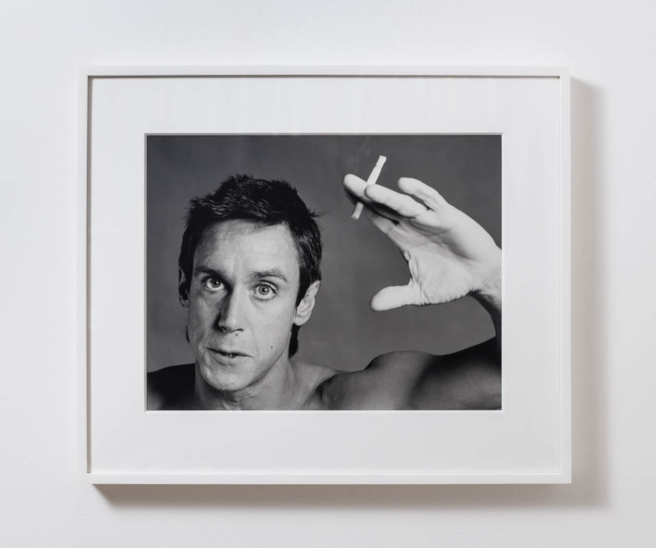 Robert Mapplethorpe Icon, Iggy Pop, 1981, 16 x 20 in. (40,64 x 50, cm) Robert Mapplethorpe Icon, Iggy Pop, 1981, 16 x 20 in. (40,64 x 50, cm)