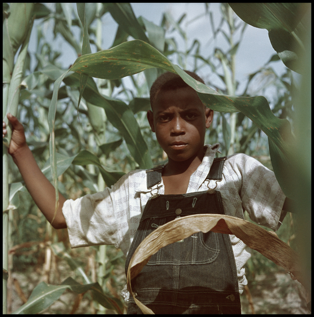 Gordon Parks, ‘Untitled, Shady Grove, Alabama (37.028)’, 1956, Photography, Archival pigment print, Jackson Fine Art