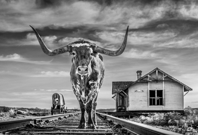 David Yarrow, ‘The End of the Line’, 2020, Photography, Black and white print, Isabella Garrucho Fine Art