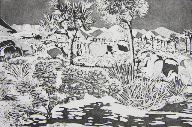 Kate Crook, ‘Joshua Tree #4’, 2017, Print, Lithograph, ed.50, Somerset white paper, acid free, Asher Grey Gallery