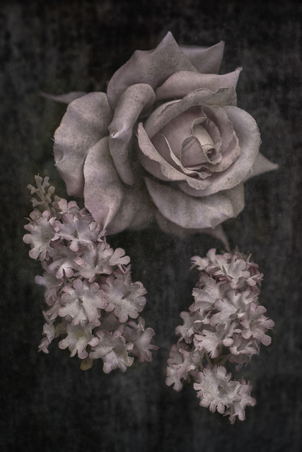 Christopher Thomas, ‘Eternity 002’, 2009, Ira Stehmann Fine Art Photography