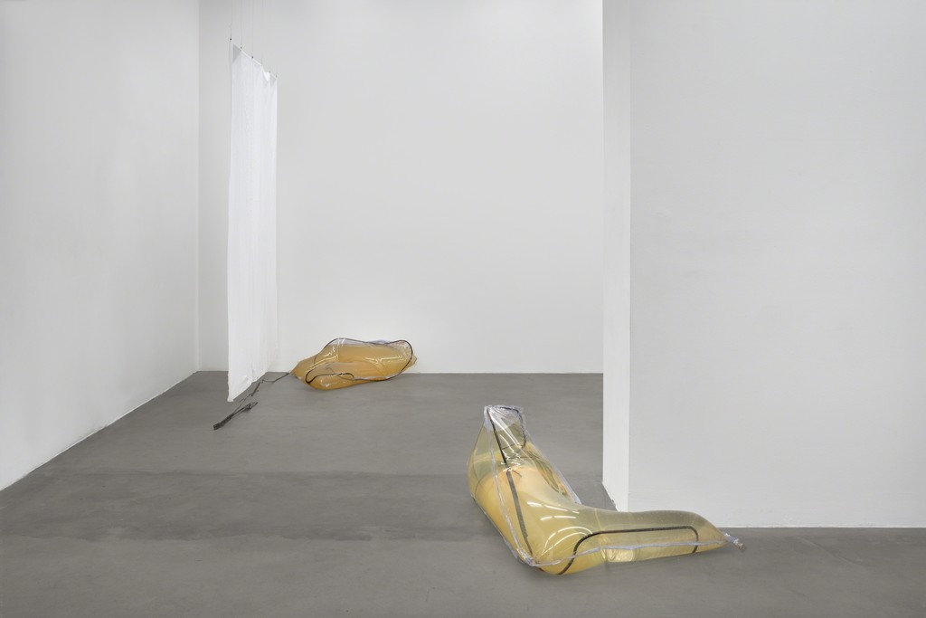 Installation view, Cannibals, 2015, Photocredit Joachim Schulz, Courtesy Croy Nielsen Installation view, Cannibals, 2015, Photocredit Joachim Schulz, Courtesy Croy Nielsen