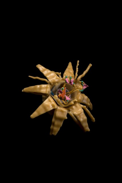 Floral III — Irmak Canevi (2022)