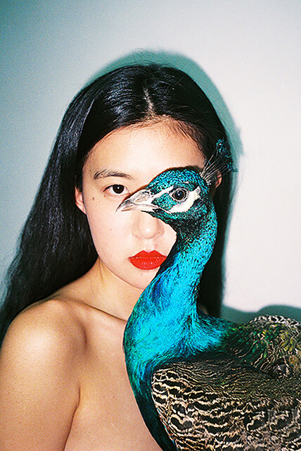 日本限定モデル】 写真集 REN HANG 任航 （レン・ハン）・新品 未開封 