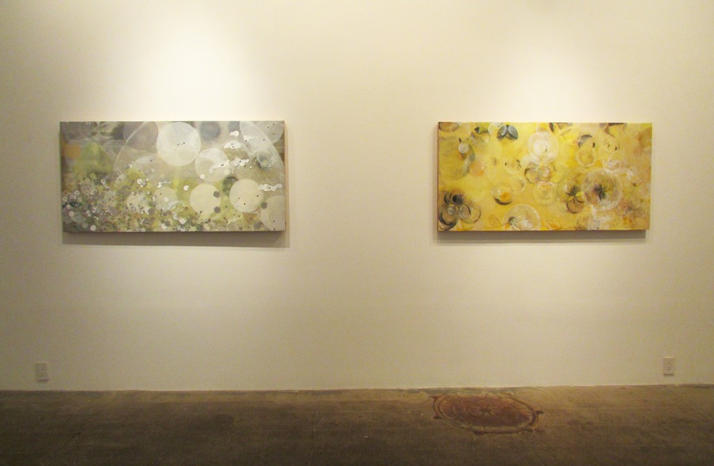 Installation Shot - Erin Parish 2015 Installation Shot - Erin Parish 2015