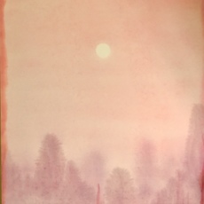 Nicholas Woods