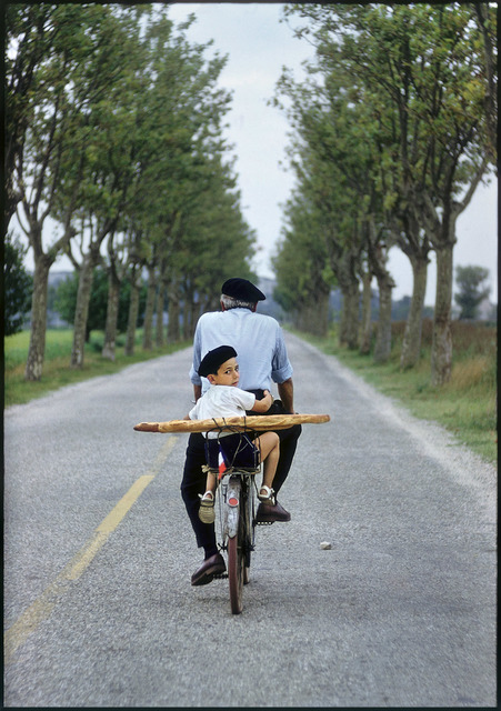 Elliott Erwitt, ‘Provence, France’, 1955, Edwynn Houk Gallery