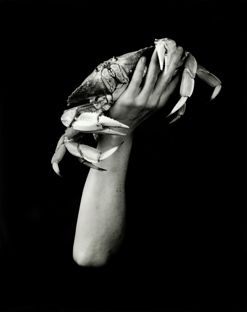 Dale M. Reid, ‘Dungeness Crab’, 2019, Photography, Silver gelatin, JL Phillips Gallery