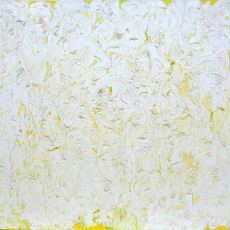Gail Behrmann