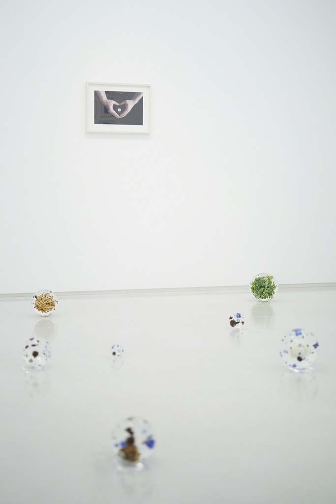 Installation view from “A Cosmology from Forest” 8/ ART GALLERY/ Tomio Koyama Gallery, 2017 ©Satoshi Hirose, photo by Kenji Takahashi Installation view from “A Cosmology from Forest” 8/ ART GALLERY/ Tomio Koyama Gallery, 2017 ©Satoshi Hirose, photo by Kenji Takahashi