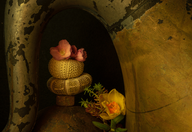 Allan Markman, ‘Still Life with Spring Flowers and Gramophone’, Soho Photo Gallery