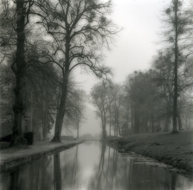 Lynn Geesaman, ‘Annevoie, Belgium (4-04-3-2)’, 2004, Yancey Richardson Gallery