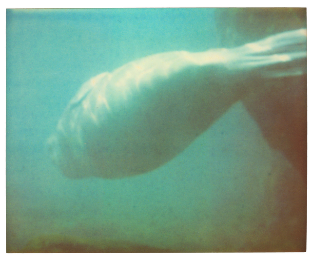 Stefanie Schneider, ‘Dugong IV - Stay, Contemporary, Polaroid, Color, Coney Island, Animal, Blue’, 2006, Photography, Analog C-Print, printed by the artist on Fuji Archive Crystal Paper, based on a Polaroid, Instantdreams