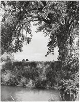 An Irrigation Canal, Larimer County, Colorado